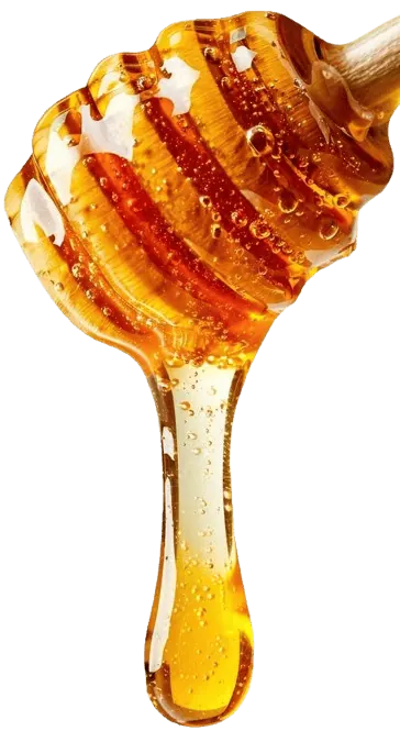 Pure raw honey harvested from Malaysian rainforests